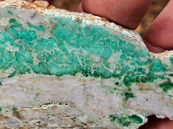 Variscite Polished Slab.  VP 303