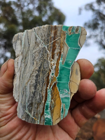 Variscite Polished Slab.  VP 304
