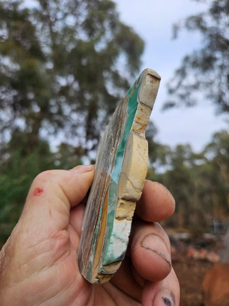 Variscite Polished Slab.  VP 304