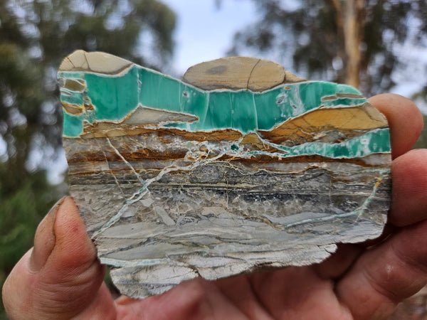 Variscite Polished Slab.  VP 304