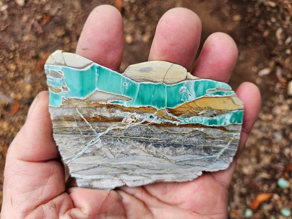 Variscite Polished Slab.  VP 304