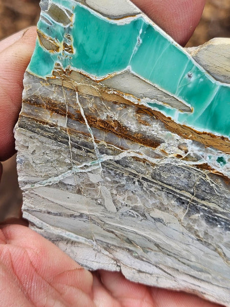 Variscite Polished Slab.  VP 304