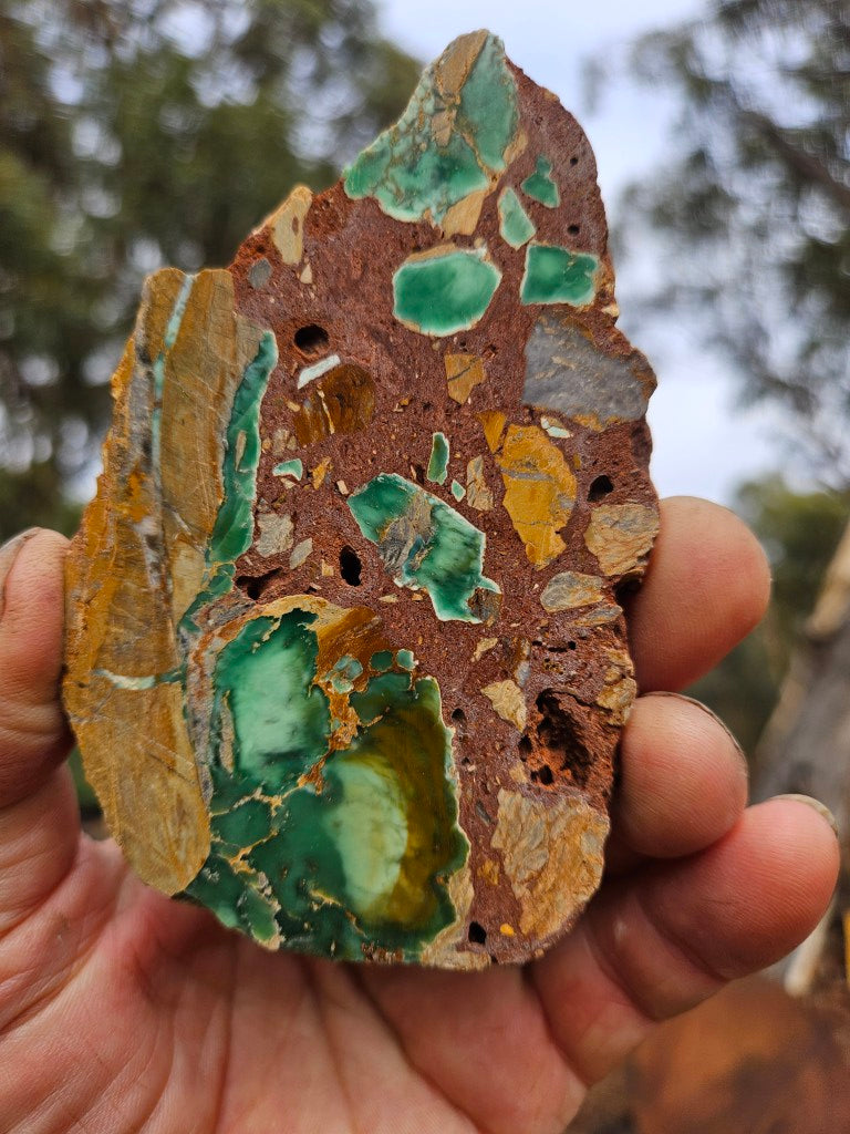Variscite Polished Slab.  VP 305