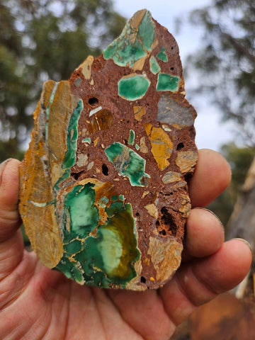 Variscite Polished Slab.  VP 305
