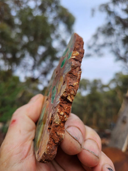 Variscite Polished Slab.  VP 305