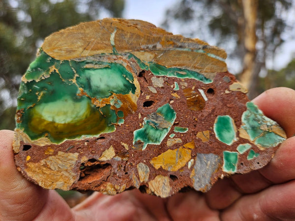 Variscite Polished Slab.  VP 305