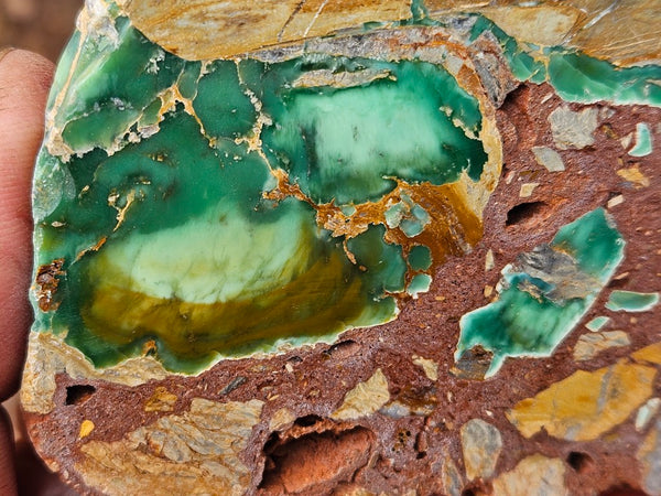 Variscite Polished Slab.  VP 305