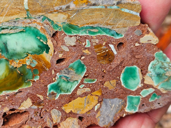 Variscite Polished Slab.  VP 305