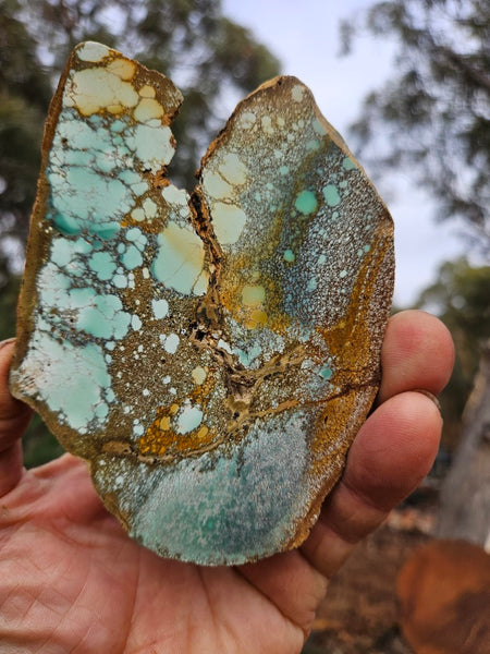 Variscite Polished Slab.  VP 306