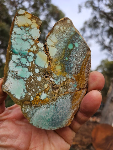 Variscite Polished Slab.  VP 306