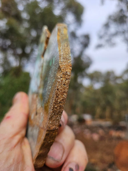 Variscite Polished Slab.  VP 306