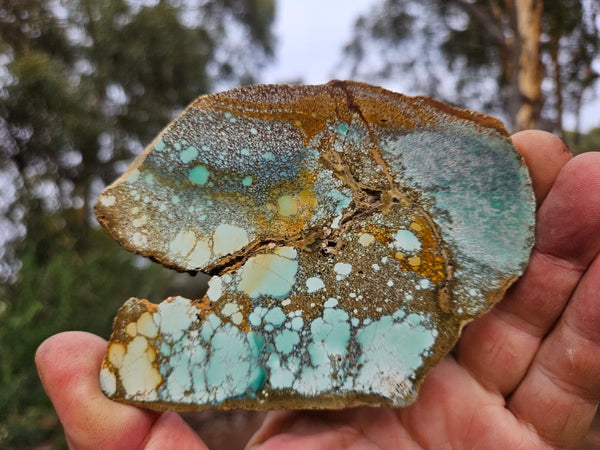 Variscite Polished Slab.  VP 306