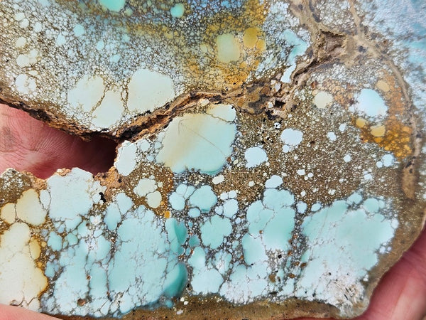 Variscite Polished Slab.  VP 306