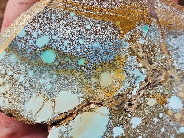 Variscite Polished Slab.  VP 306