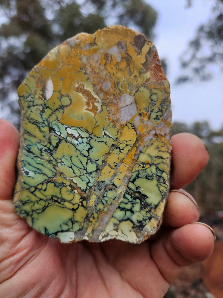Polished Variscite   VP301