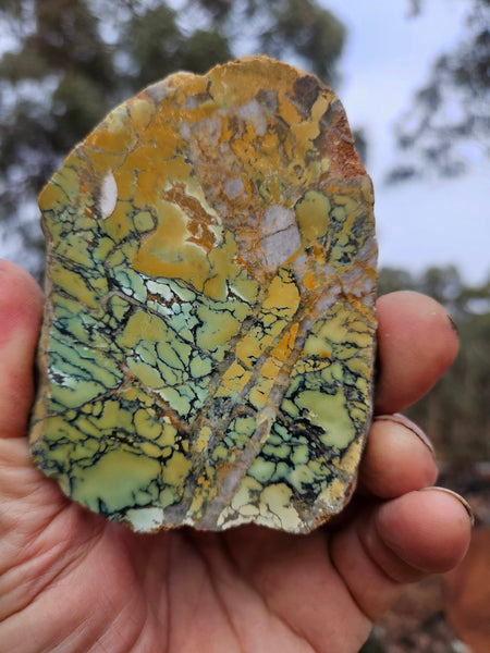 Polished Variscite   VP301