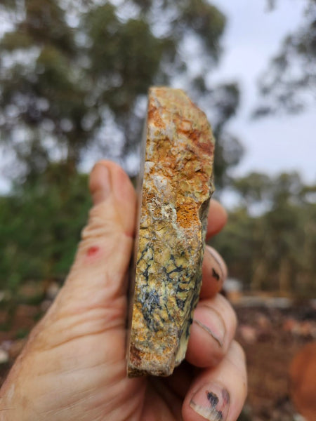 Polished Variscite   VP301