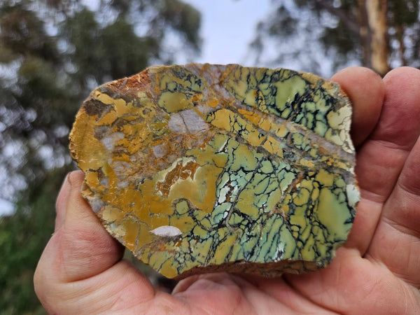Polished Variscite   VP301