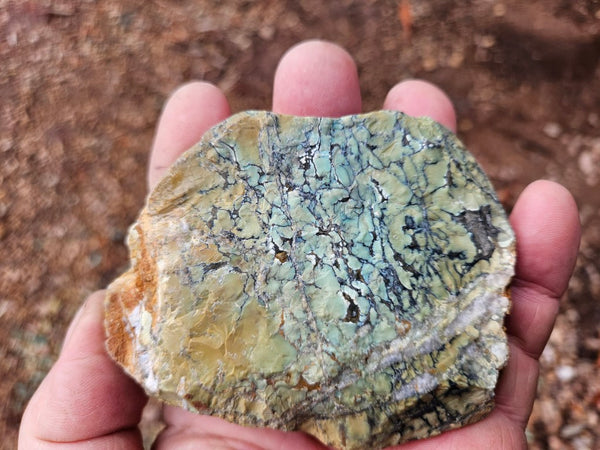 Polished Variscite   VP301