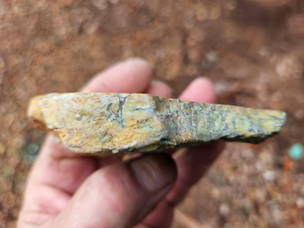 Polished Variscite   VP301