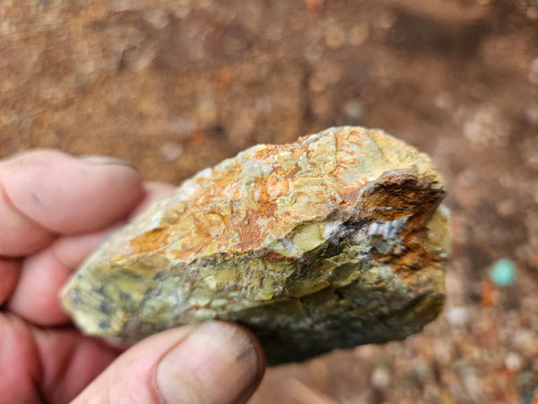Polished Variscite   VP301