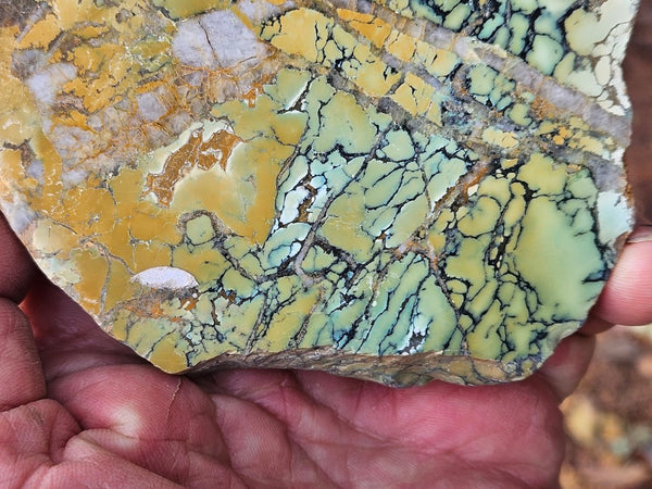 Polished Variscite   VP301