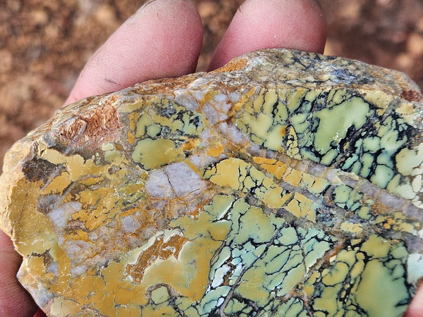 Polished Variscite   VP301