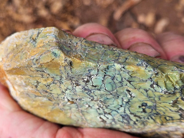Polished Variscite   VP301