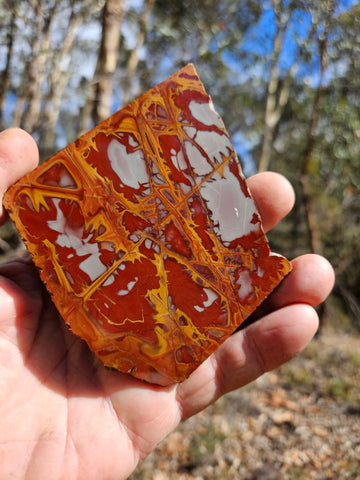 Polished Noreena Jasper slab. NJ496
