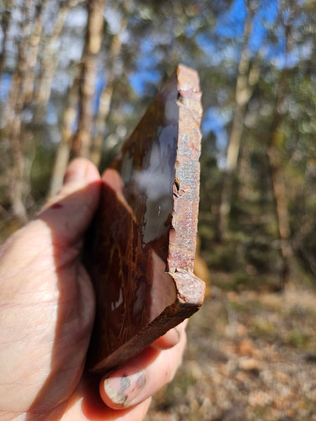 Polished Noreena Jasper slab. NJ496