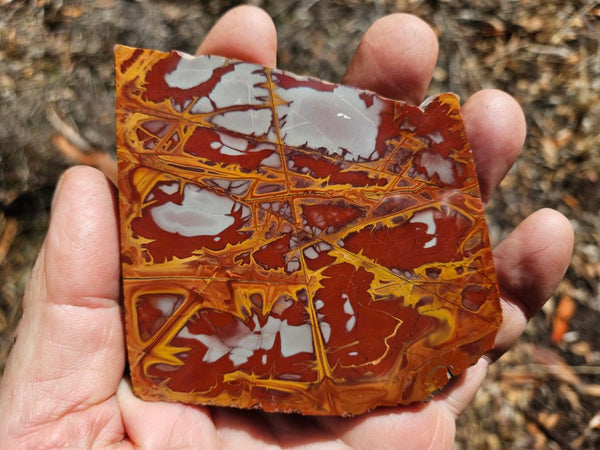 Polished Noreena Jasper slab. NJ496