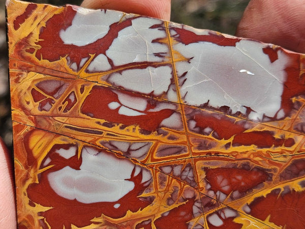 Polished Noreena Jasper slab. NJ496