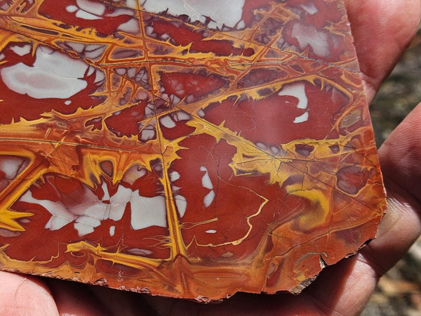 Polished Noreena Jasper slab. NJ496