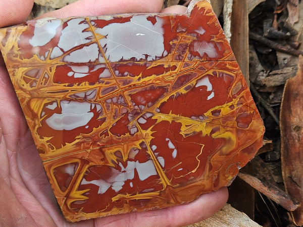 Polished Noreena Jasper slab. NJ496