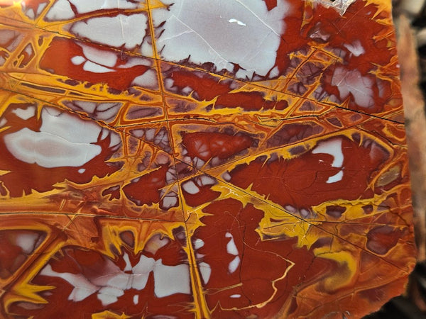 Polished Noreena Jasper slab. NJ496