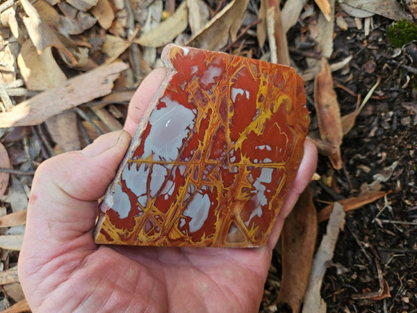 Polished Noreena Jasper slab. NJ496