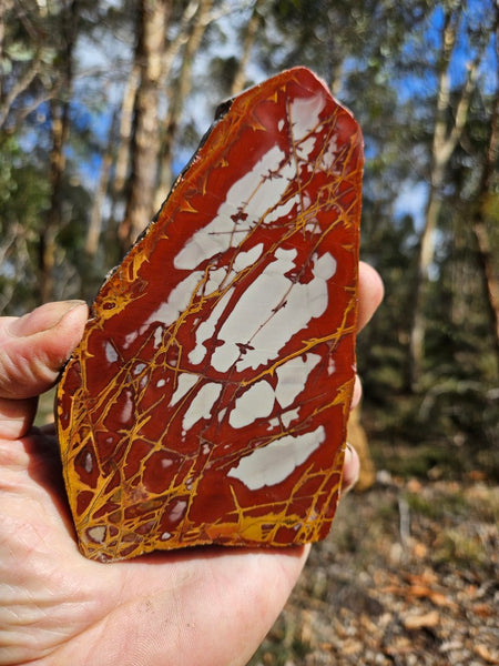 Polished Noreena Jasper slab. NJ497