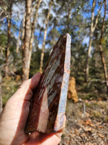 Polished Noreena Jasper slab. NJ497
