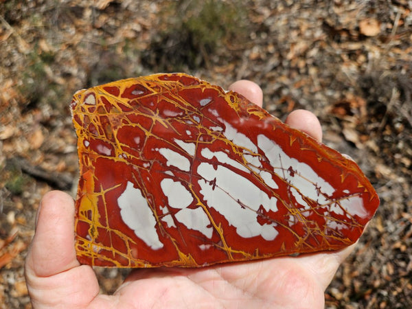 Polished Noreena Jasper slab. NJ497