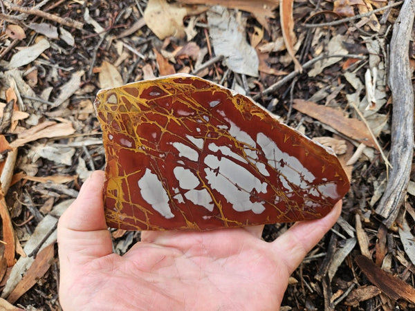 Polished Noreena Jasper slab. NJ497