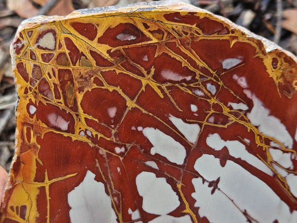 Polished Noreena Jasper slab. NJ497