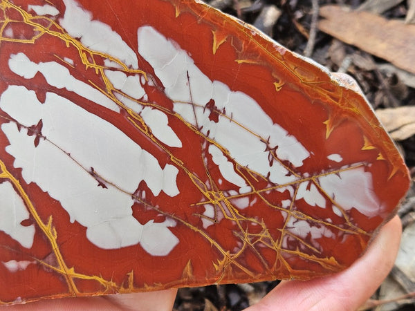 Polished Noreena Jasper slab. NJ497