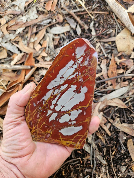 Polished Noreena Jasper slab. NJ497