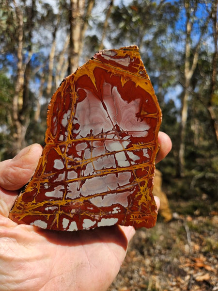 Polished Noreena Jasper slab. NJ498