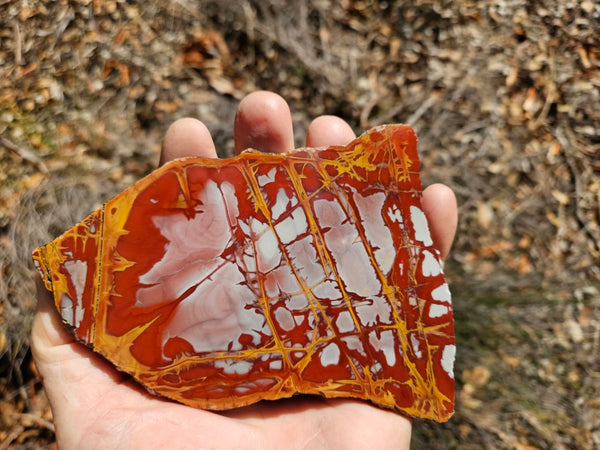 Polished Noreena Jasper slab. NJ498