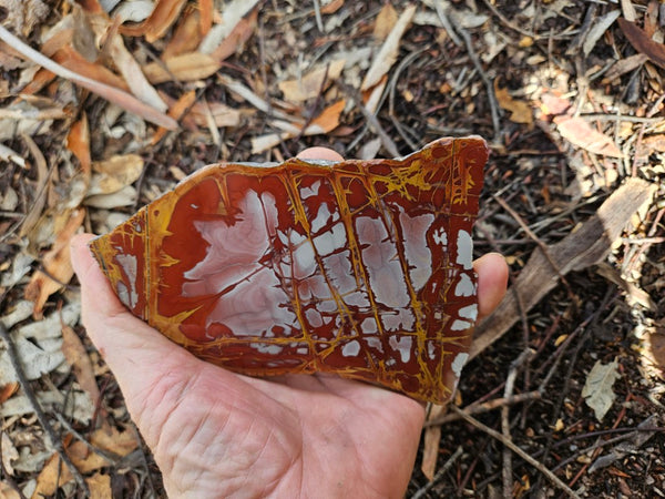 Polished Noreena Jasper slab. NJ498