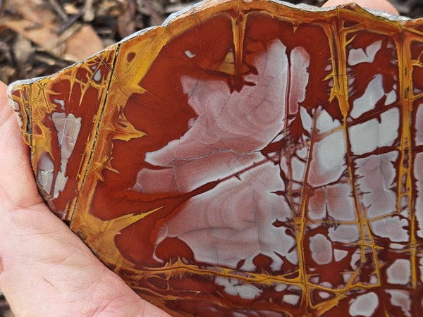Polished Noreena Jasper slab. NJ498