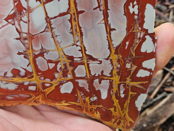 Polished Noreena Jasper slab. NJ498