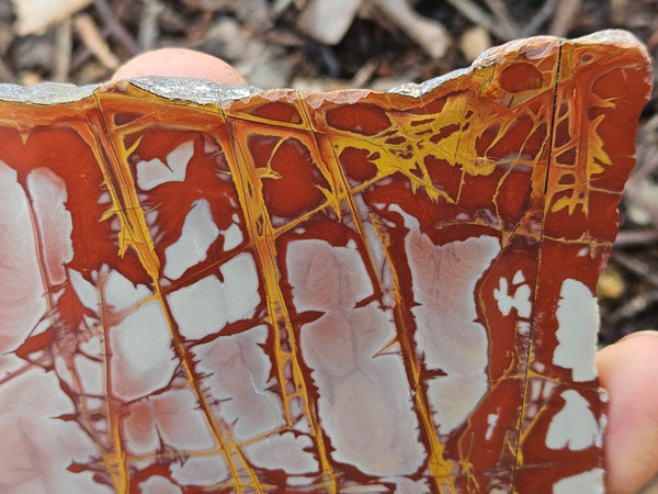 Polished Noreena Jasper slab. NJ498