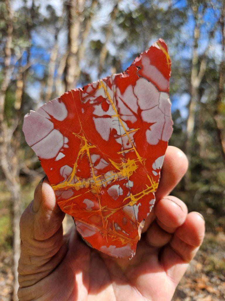 Polished Noreena Jasper slab. NJ499